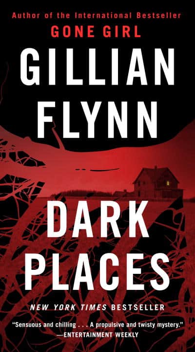 Flynn, Gillian | Dark Places
