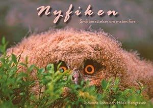 John, Johanna | Bengtsson, Hilda | Nyfiken : Små berättelser om maten förr