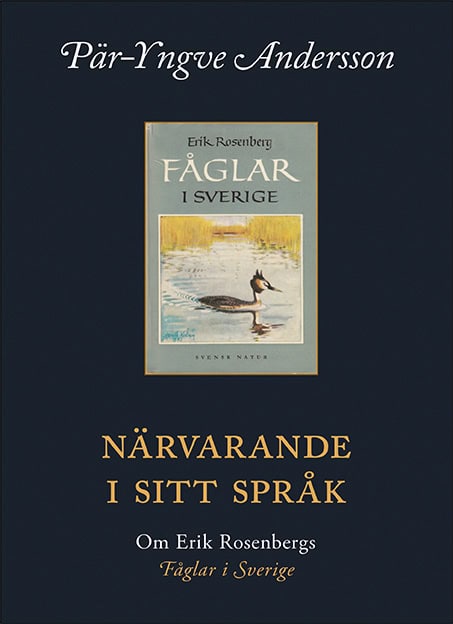 Andersson, Pär-Yngve | Närvarande i sitt språk : Om Erik Rosenbergs fåglar i Sverige