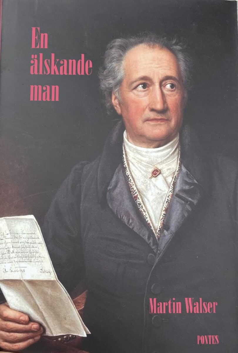 Walser, Martin | En älskande man