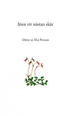 Persson, Maj | Liten vit nästan skär