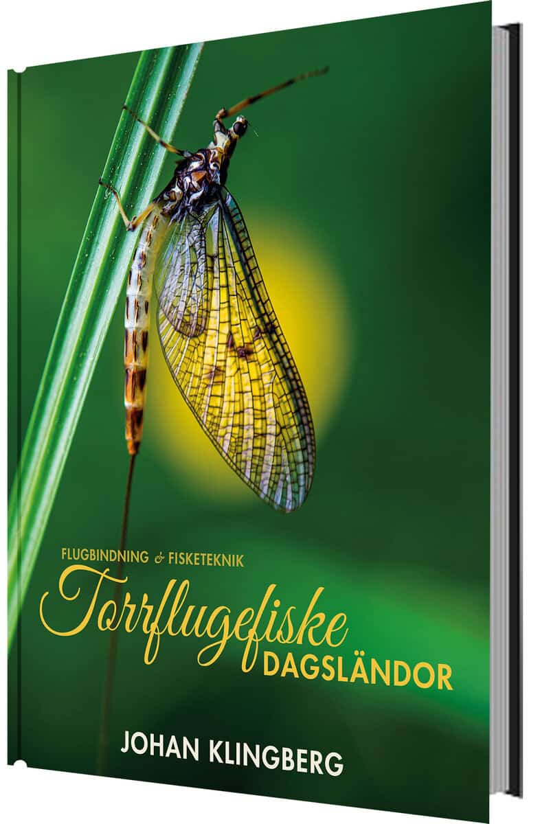 Klingberg, Johan | Torrflugefiske : Dagsländor