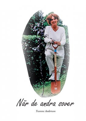 Andersson, Ywonne | När de andra sover