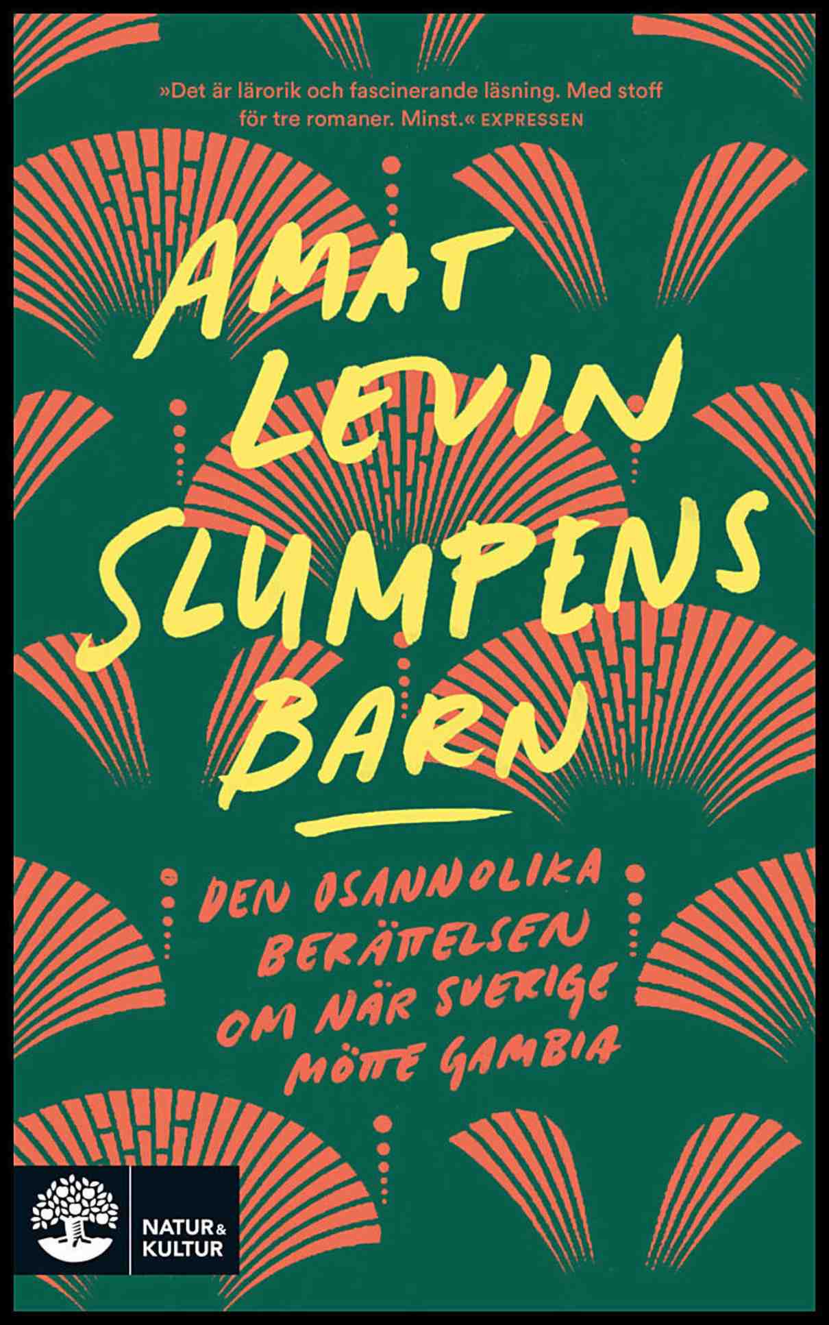 Levin, Amat | Slumpens barn : Den osannolika berättelsen om när Sverige mötte Gambia