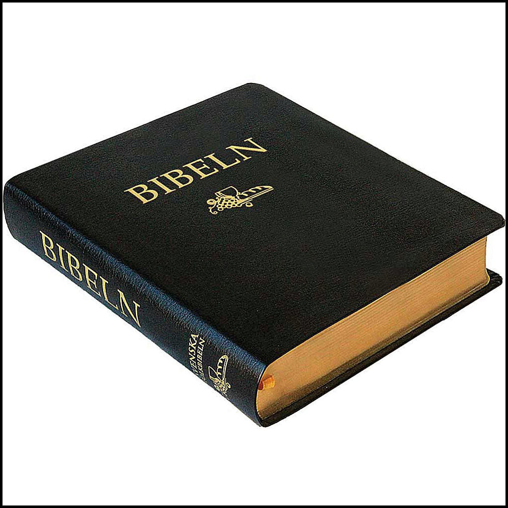 Anteckningsbibel i svart cabraskinn