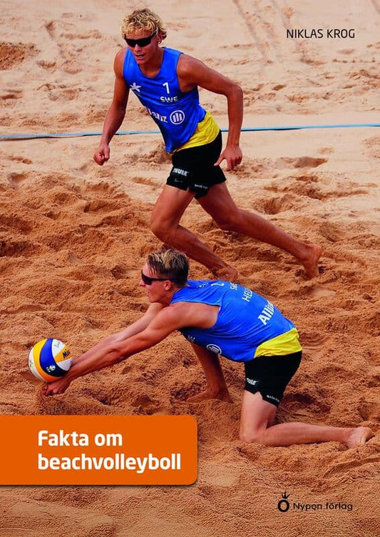 Krog, Niklas | Fakta om beachvolleyboll