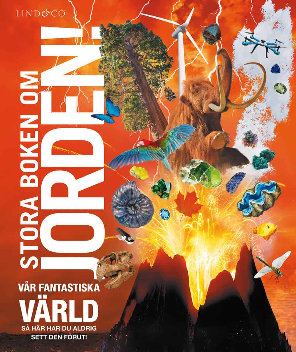 Dorling Kindersley | Stora boken om jorden