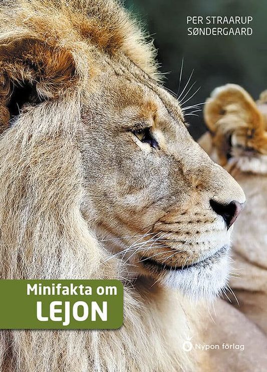 Straarup Søndergaard, Per | Minifakta om lejon