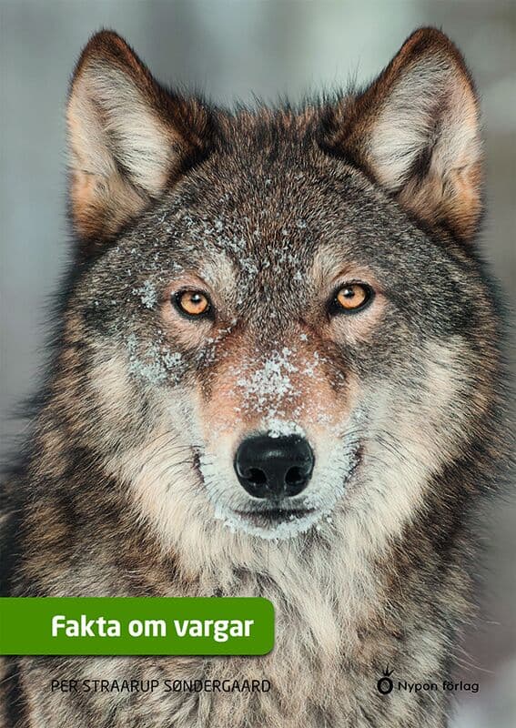 Straarup Søndergaard, Per | Fakta om vargar