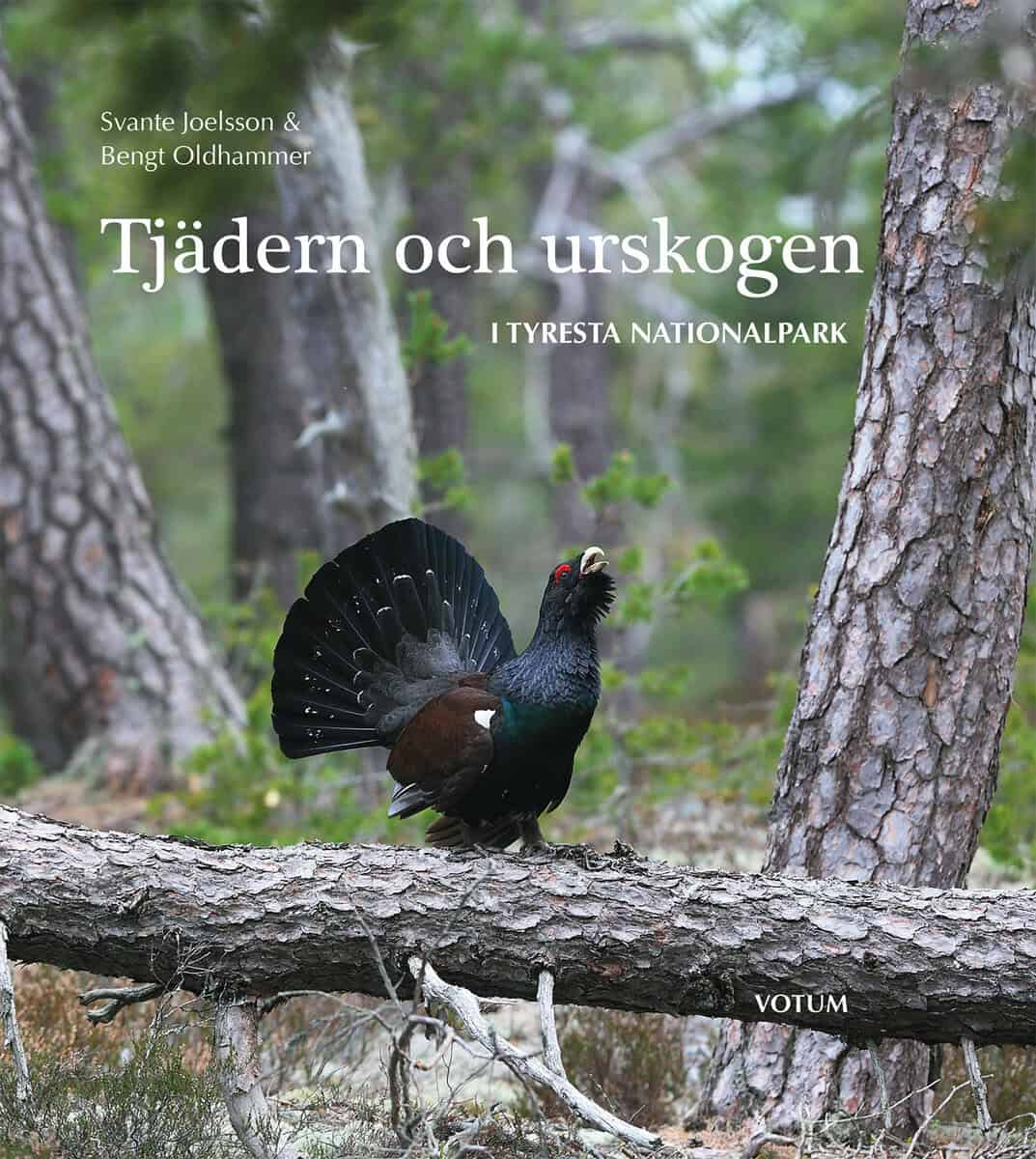 Joelsson, Svante | Oldhammer, Bengt | Tjädern och urskogen : I Tyresta nationalpark