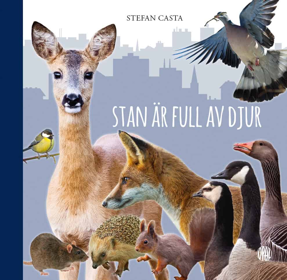 Casta, Stefan | Stan är full av djur