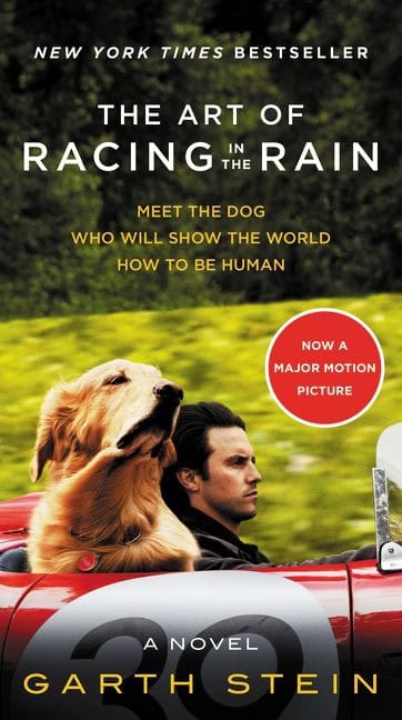 Stein, Garth | The Art of Racing in the Rain MTI
