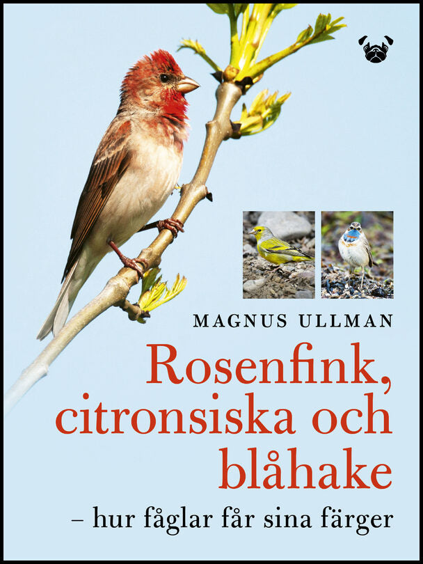 Ullman, Magnus | Rosenfink, citronsiska och blåhake : Hur fåglar får sina färger