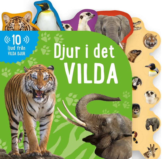 Feldman, Thea | Djur i det vilda