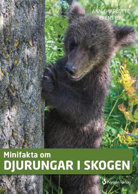 Ekensten, Ann-Charlotte | Minifakta om djurungar i skogen