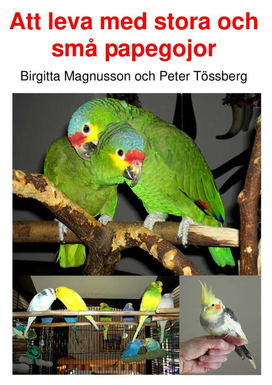 Tössberg, Peter | Magnusson, Birgitta | Att leva med stora och små papegojor