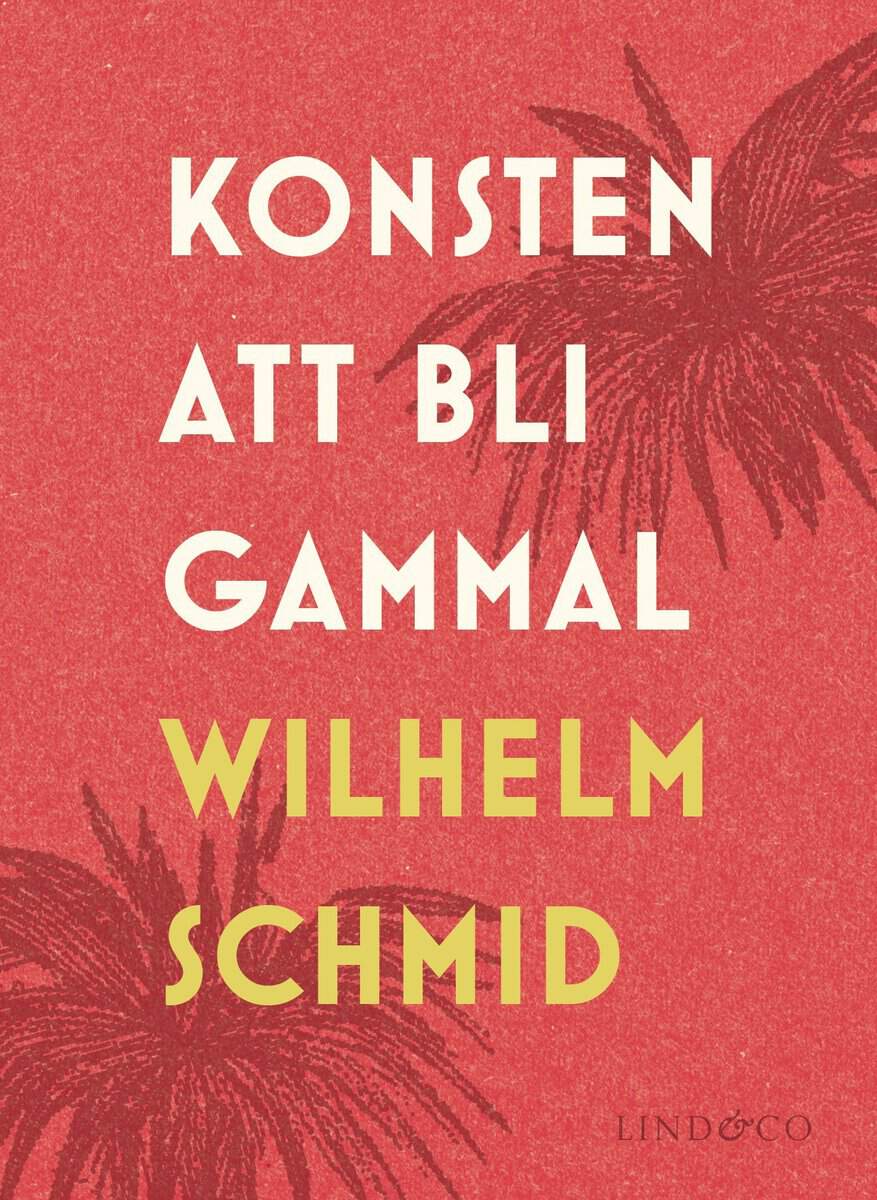 Schmid, Wilhelm | Konsten att bli gammal