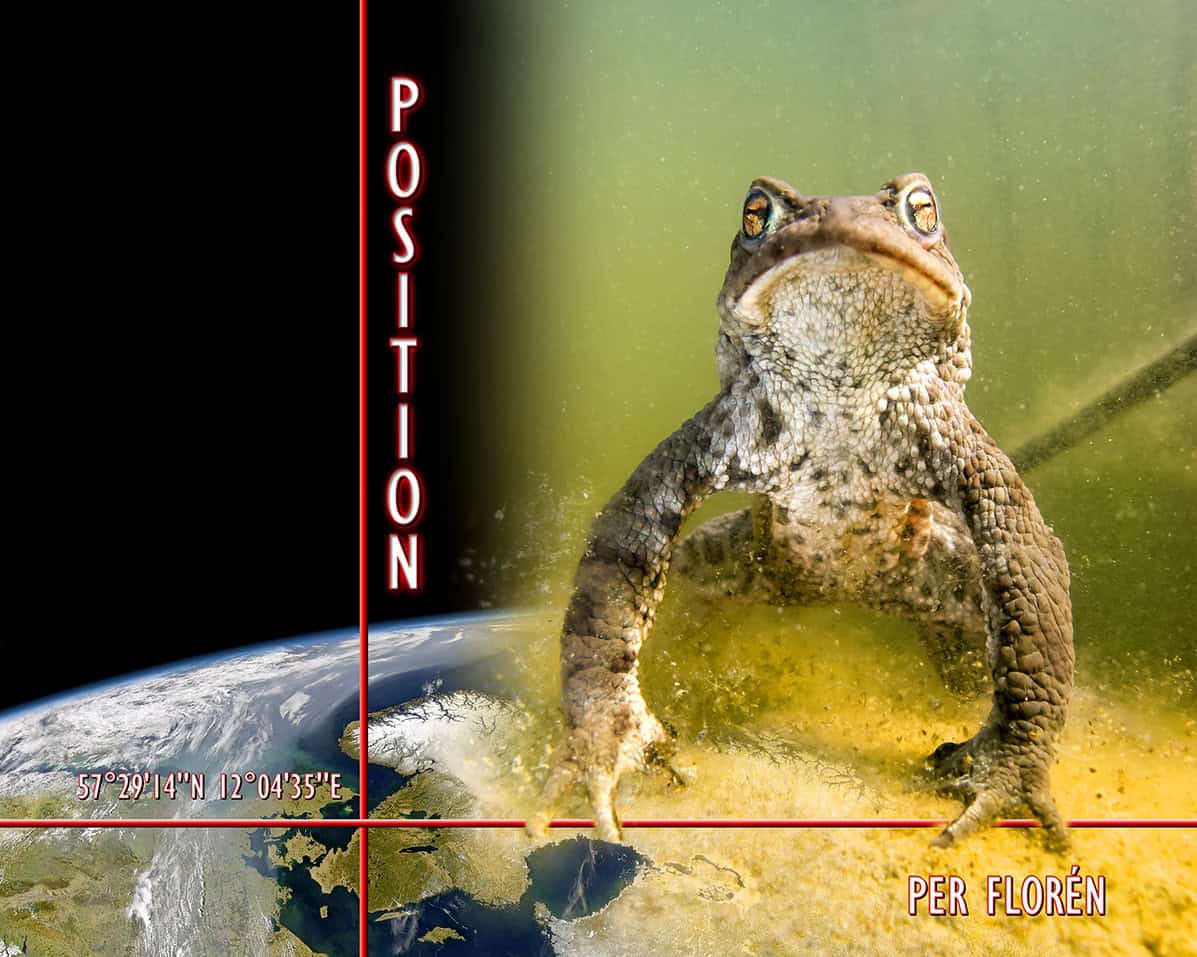 Florén, Per | Position