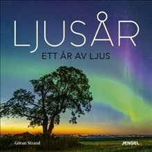 Strand, Göran | Ljusår : Ett år av ljus
