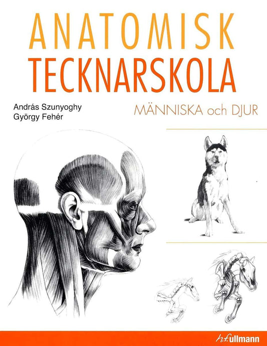 Szunyoghy, Andráz | Fehér, György | Anatomisk tecknarskola : Människa och djur