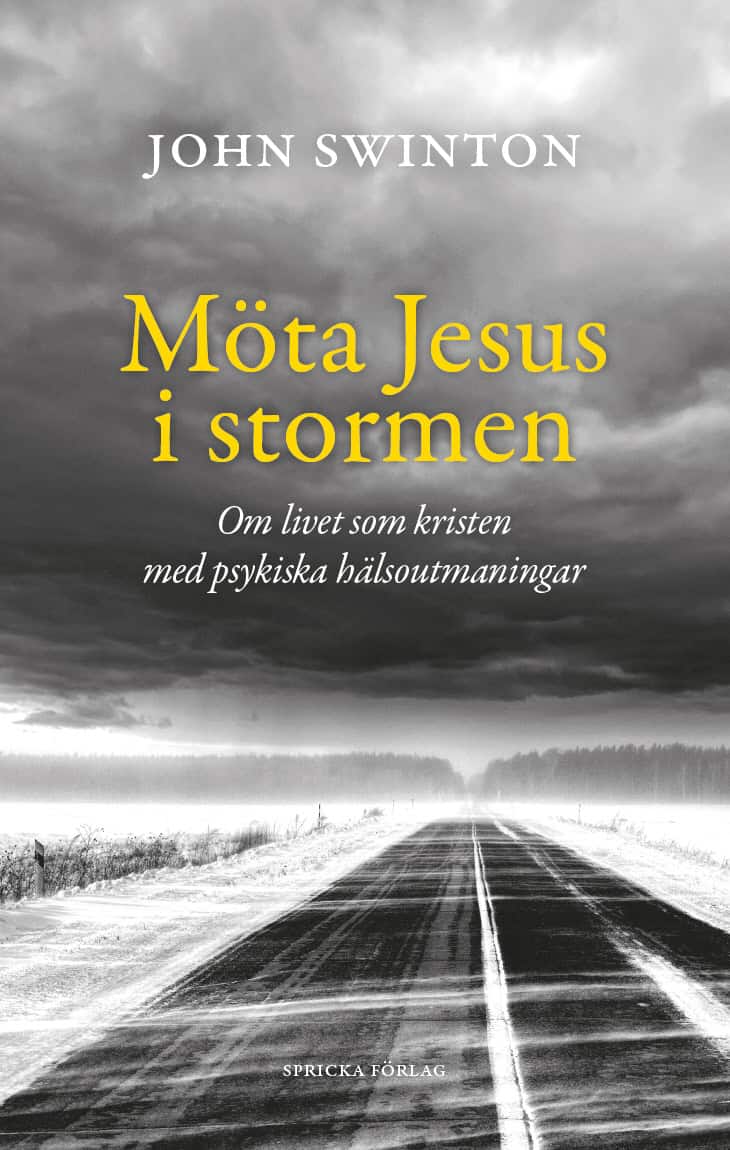 Swinton, John | Möta Jesus i stormen : Om livet som kristen med psykiska hälsoutmaningar