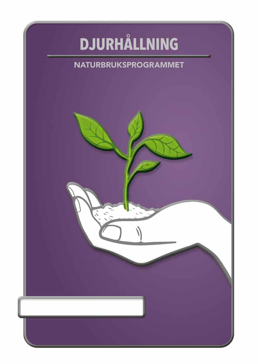 Weidow, Bengt | Andersson, Rickard | BokGym Djurhållning, bok