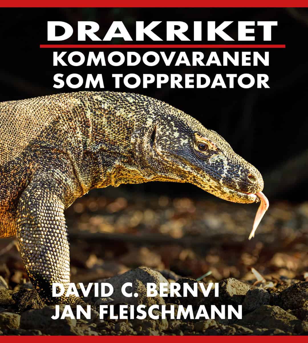 Bernvi, David C. | Fleischmann, Jan | Drakriket : Komodovaranen som toppredator