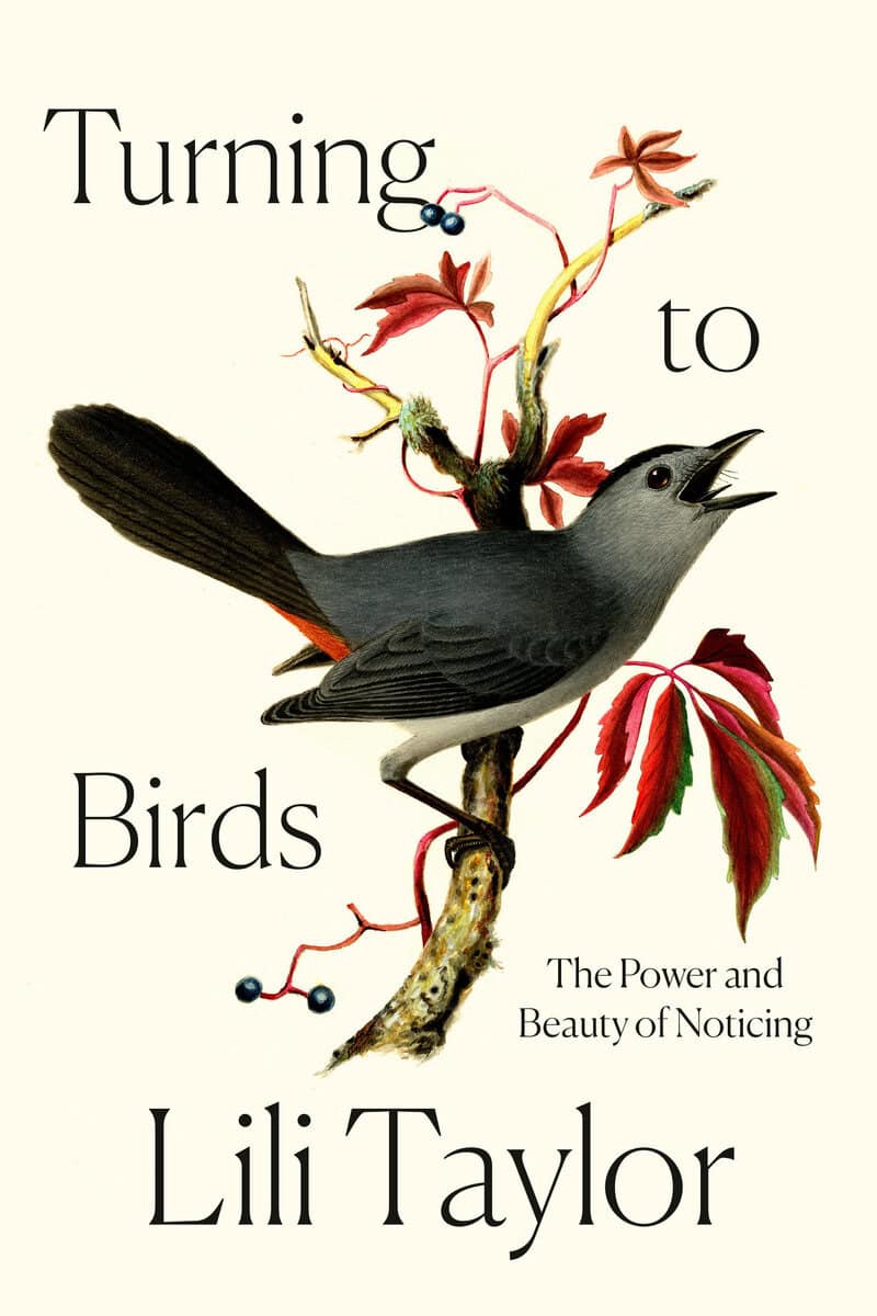Taylor, Lili | Turning to Birds : The Power and Beauty of Noticing