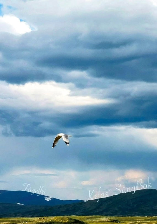 Berlin, Kefas | Fågelfri : Kefas´ Sångbok