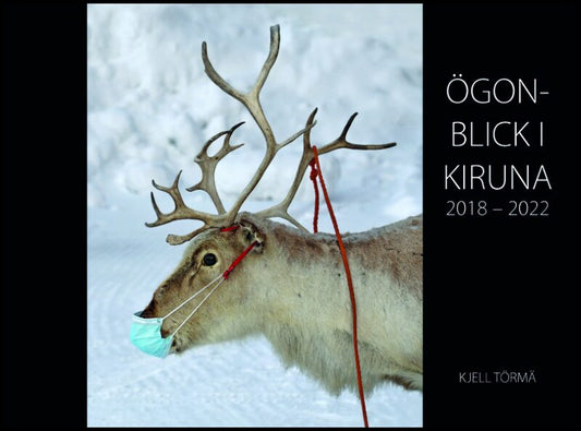 Törmä, Kjell | Ögonblick i Kiruna 2018-2022