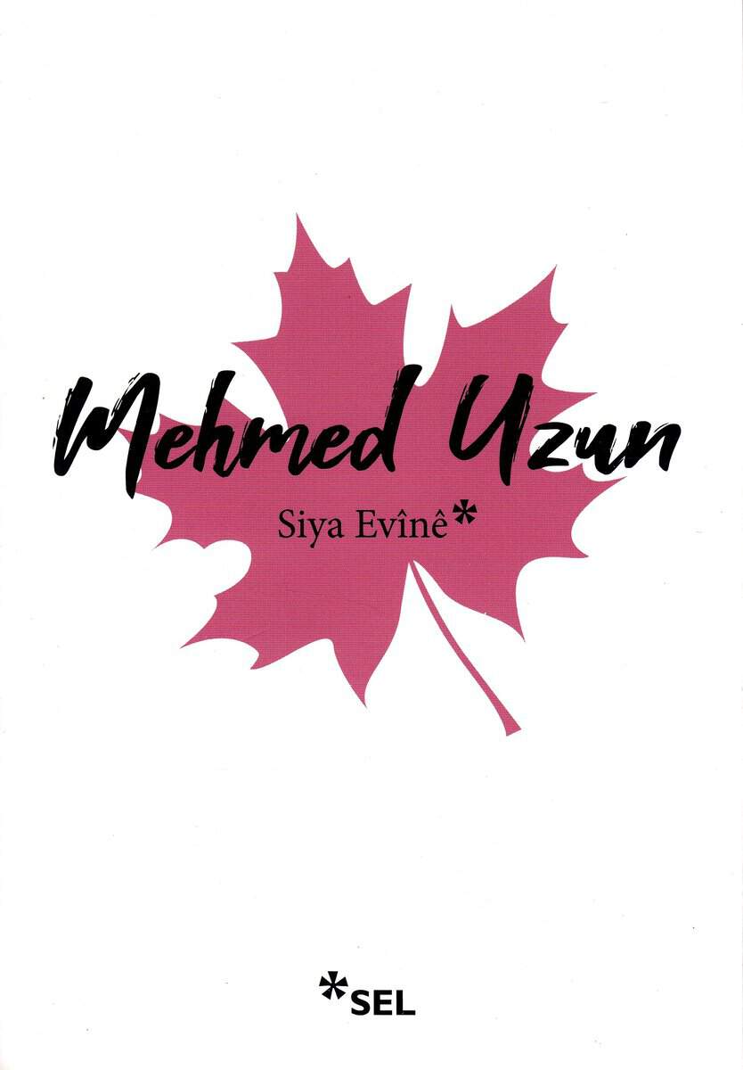 Uzun, Mehmed | I skuggan av en förlorad kärlek (Kurdiska)