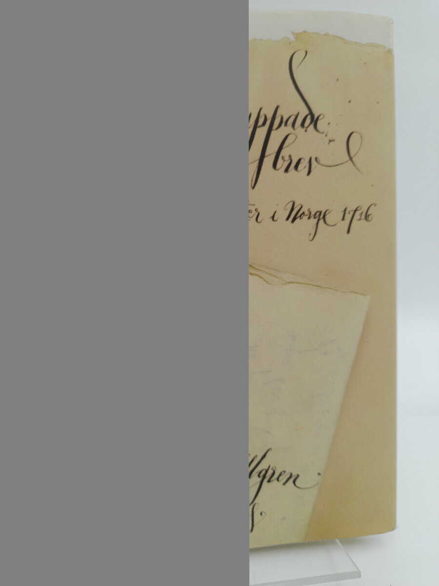 Ullgren, Peter | Uppsnappade brev : Karl XII:s soldater i Norge 1716