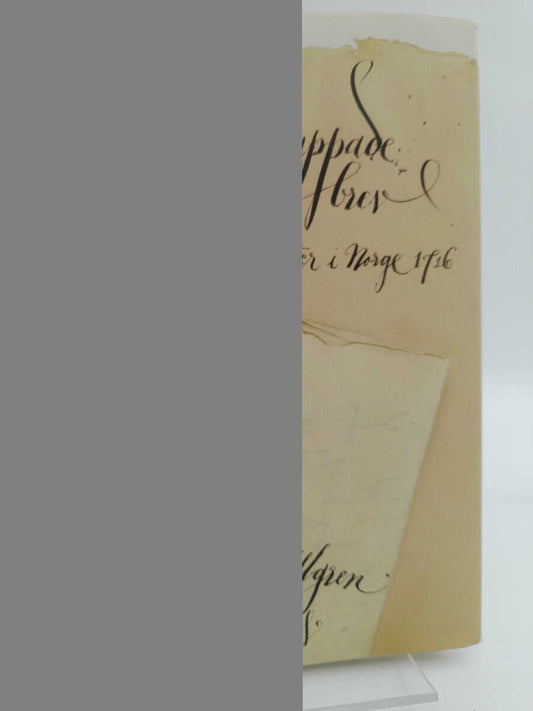 Ullgren, Peter | Uppsnappade brev : Karl XII:s soldater i Norge 1716