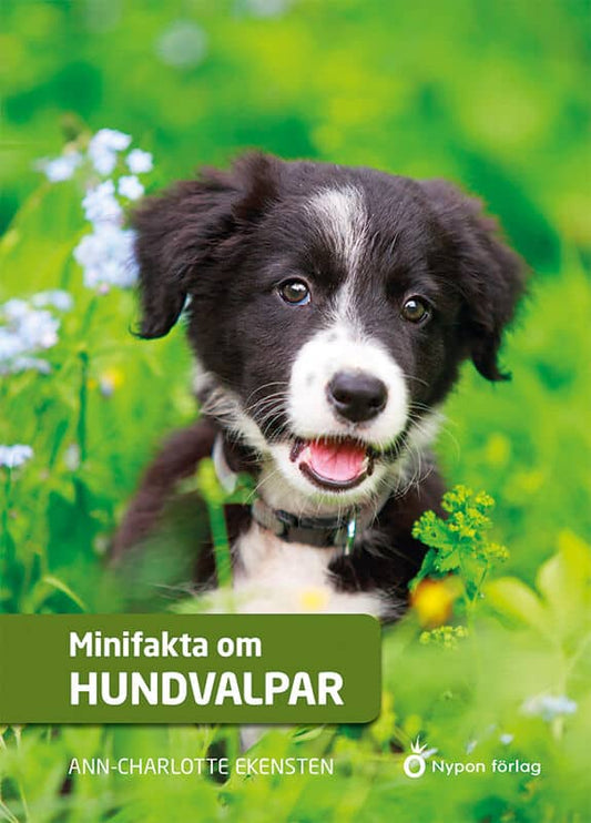 Ekensten, Ann-Charlotte | Minifakta om hundvalpar