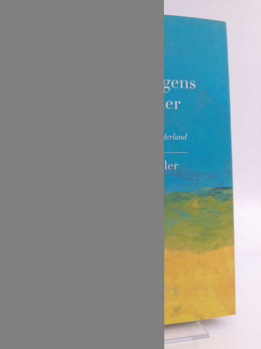 Schiöler, Niklas | Begränsningens möjligheter