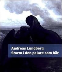 Lundberg, Andreas | Storm i den pelare som bär : En berättelse