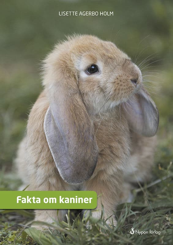 Agerbo Holm, Lisette | Fakta om kaniner