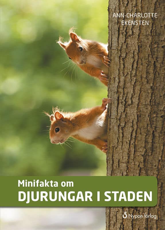 Ekensten, Ann-Charlotte | Minifakta om djurungar i staden