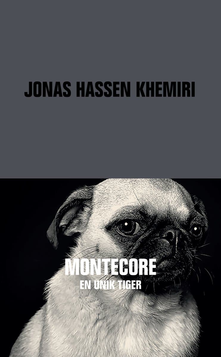 Khemiri, Jonas Hassen | Montecore