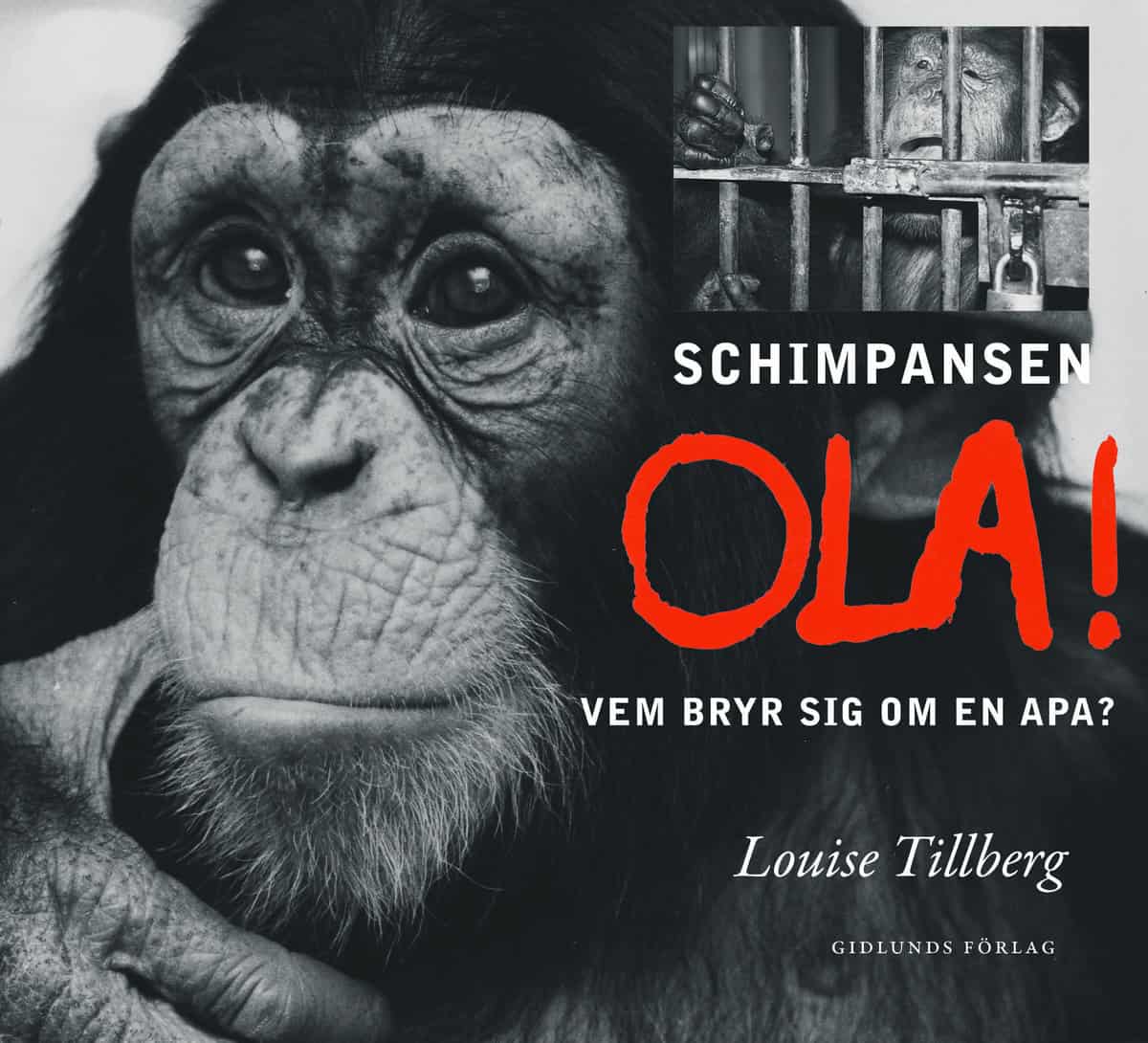 Tillberg, Louise | Schimpansen Ola : Vem bryr sig om en apa?