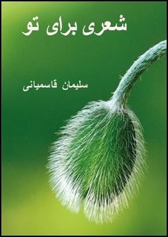 Ghasemiani, Soleyman | A poem for you! : Dikter på persiska