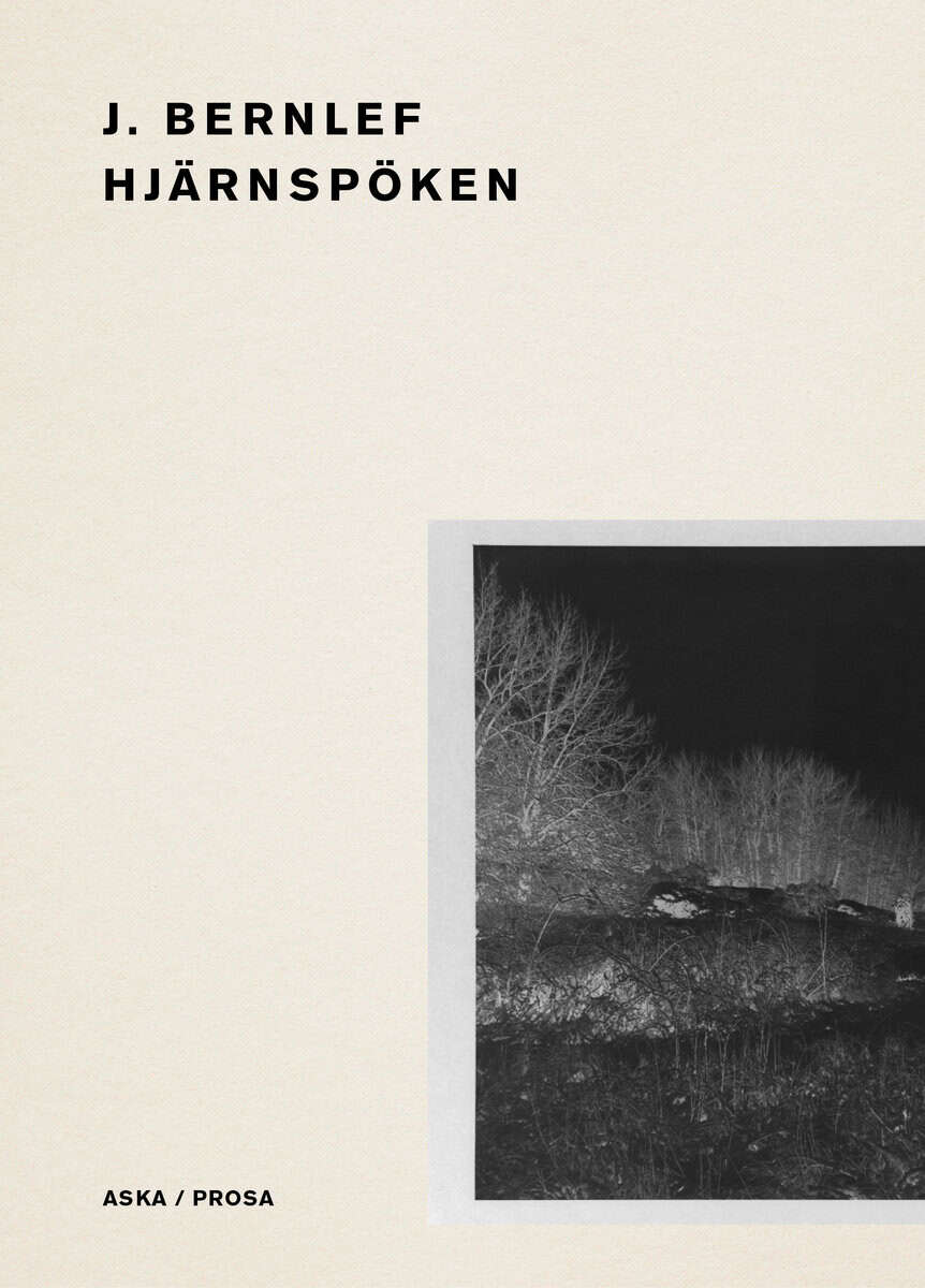 Bernlef, J. | Hjärnspöken
