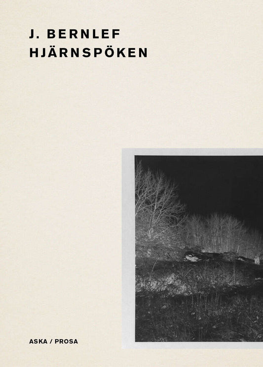 Bernlef, J. | Hjärnspöken