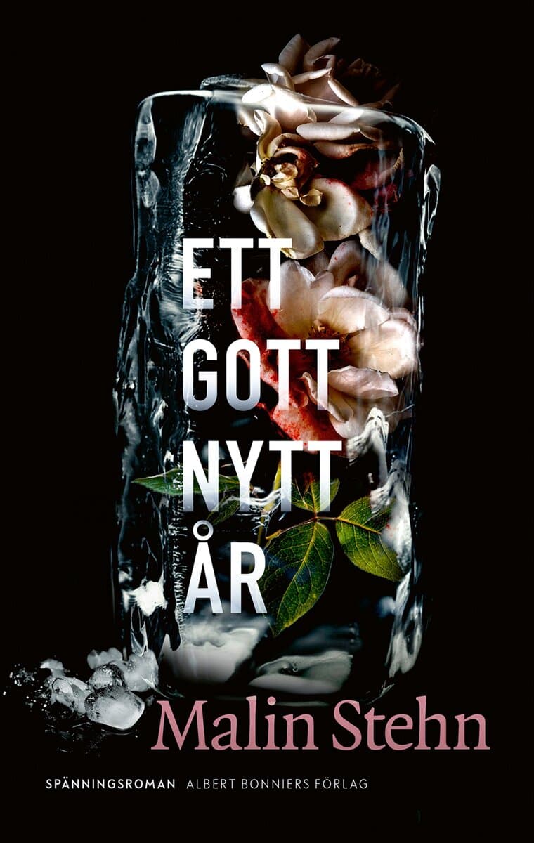 Stehn, Malin | Ett gott nytt år