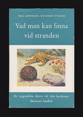 Linnman, Nils | Hylbom, Richard | Vad man kan finna vid stranden : De ryggradslösa djuren vid våra havskuster