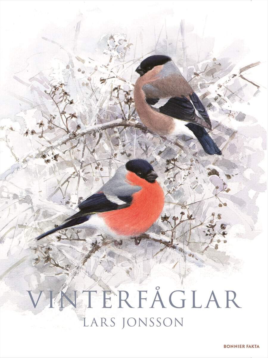 Jonsson, Lars | Vinterfåglar
