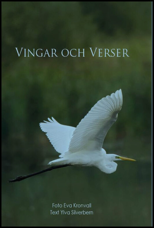 Silverbern, Ylva | Vingar och verser