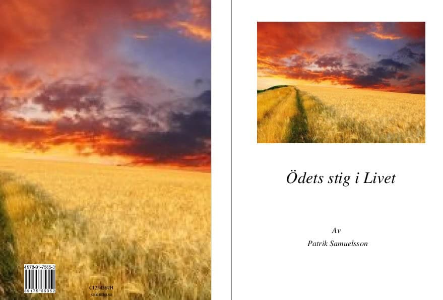 Samuelsson, Patrik | Ödets stig i livet