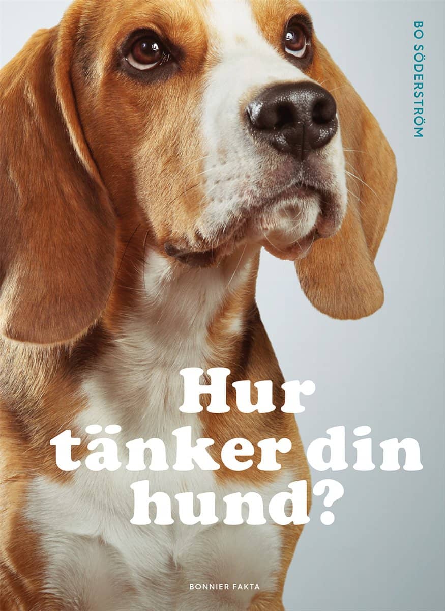 Söderström, Bo | Hur tänker din hund?