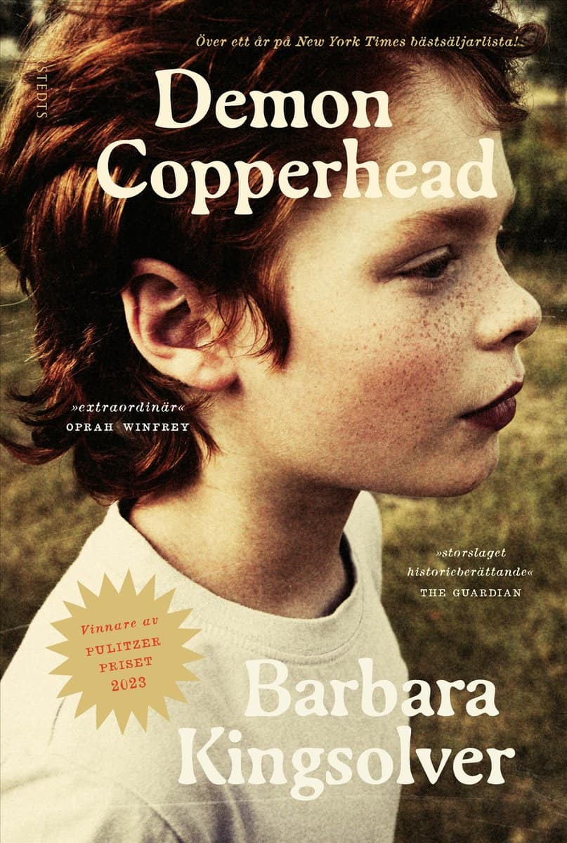 Kingsolver, Barbara | Demon Copperhead : Value, object or array expected.* Line 1, Column 2  Extra non-whitespace after ...